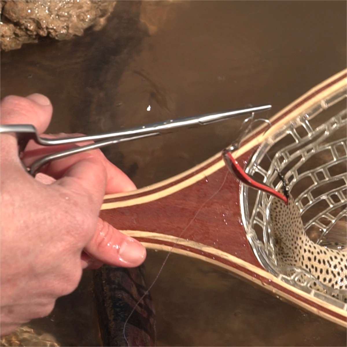 Right and left-handed fishermen can easily remove lures from a fishing net using our hemostats Right and left-handed fishermen can easily remove lures from a fishing net using Ambidex hemostats